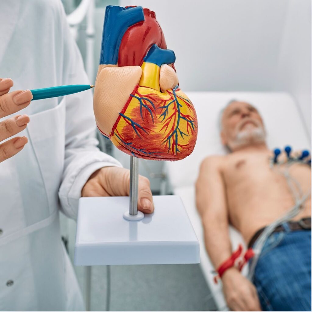 A importância dos exames cardiológicos para cuidar da saúde do coração